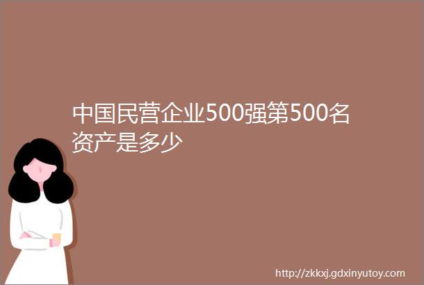 中国民营企业500强第500名资产是多少