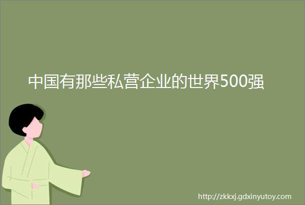 中国有那些私营企业的世界500强